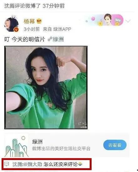 娱乐圈吃瓜手,明星背后的那些事儿